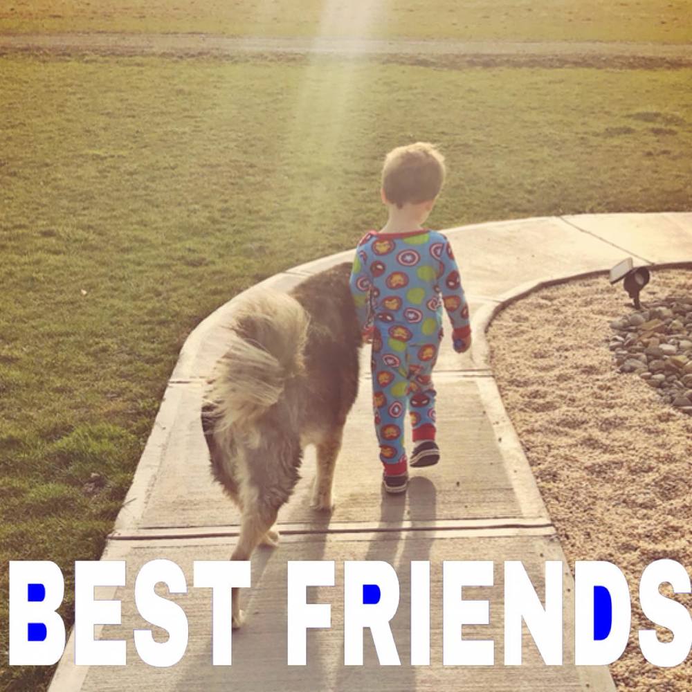 Meet your Posher, S linn